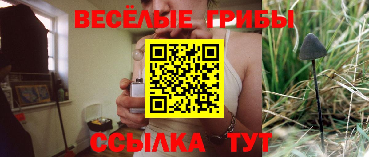 Псилоцибиновые грибы Magic Shrooms  Вход с VPN  Чебаркуль  Псилоцибиновые грибы MAGIC MUSHROOMS 