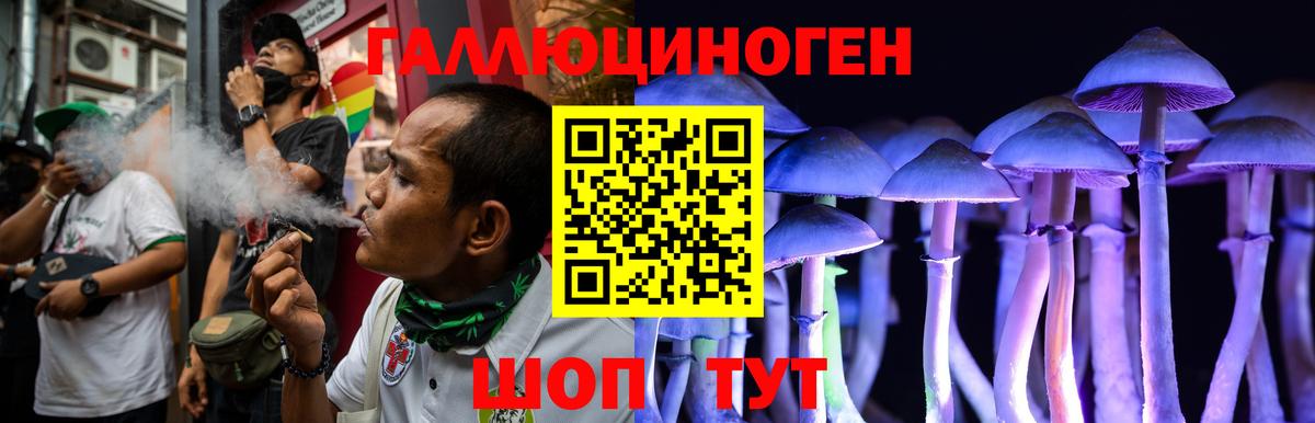 Псилоцибиновые грибы Psilocybine cubensis Чебаркуль